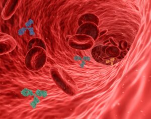 Diagram of red blood cells in the blood stream