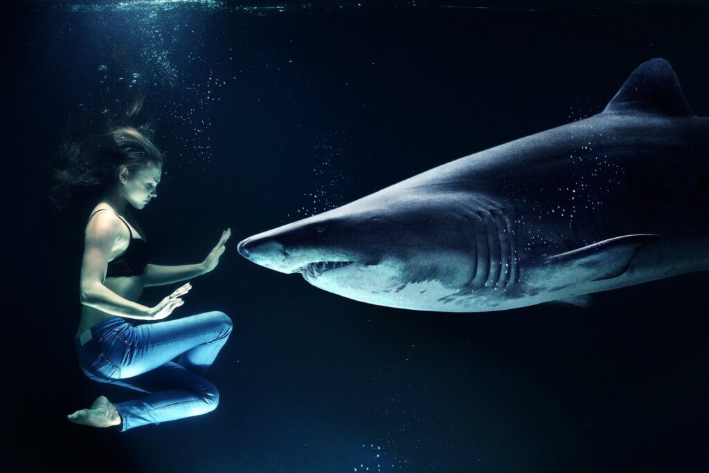 Woman vs Shark